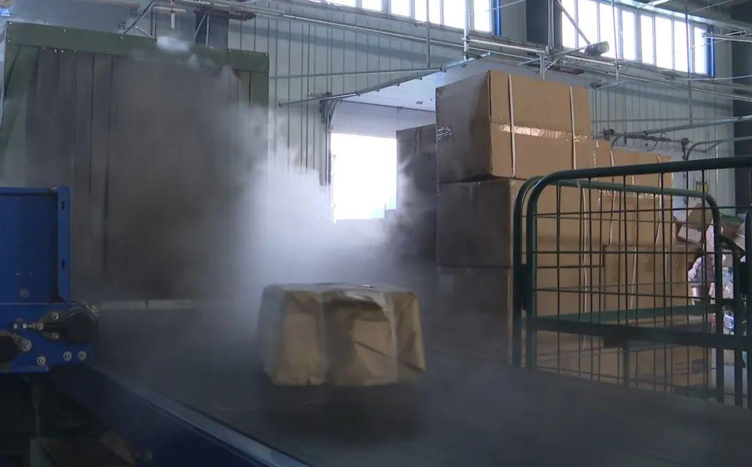 ems是什么快递公司，ems是什么快递（你的邮政快递到了吗）