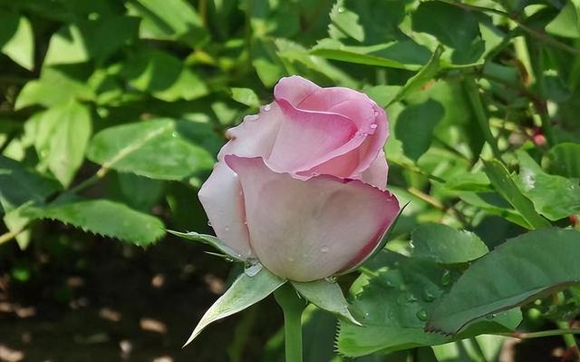 敢断联的女人有多狠，女生绝情起来有多狠（被“断联”分手后）