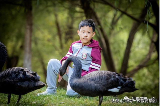 水浒传赏析，水浒传每回概括（名著赏析——水浒人物鲁智深）