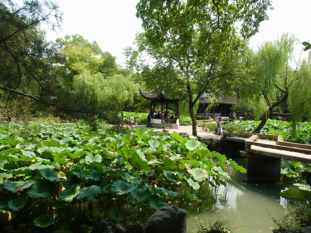 描述拙政园里的石舫，对拙政园的描写（金秋荷香——苏州拙政园<十>）