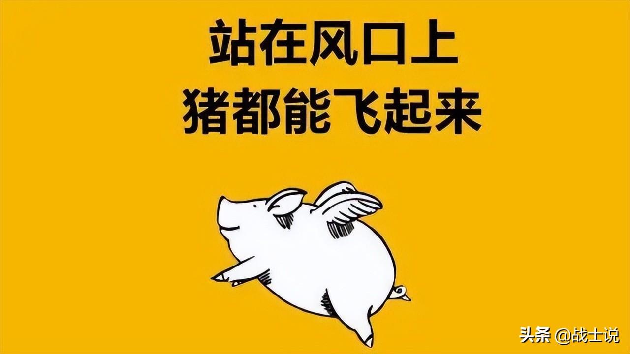 什么是流量(什么是私域流量)