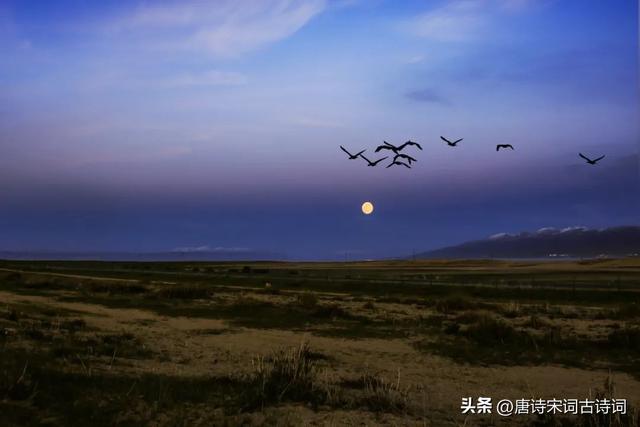 生活如此简单 幸福如此美好，生活如此简单下一句是什么（清秋，清欢图片）