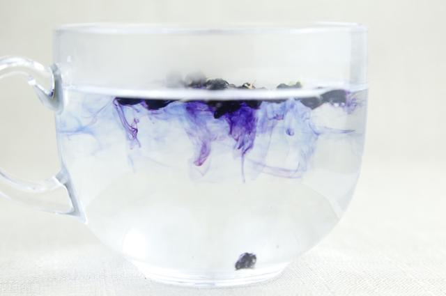 蓝莓有什么功效，蓝莓的功效和作用（受国际认可的“蓝莓”）