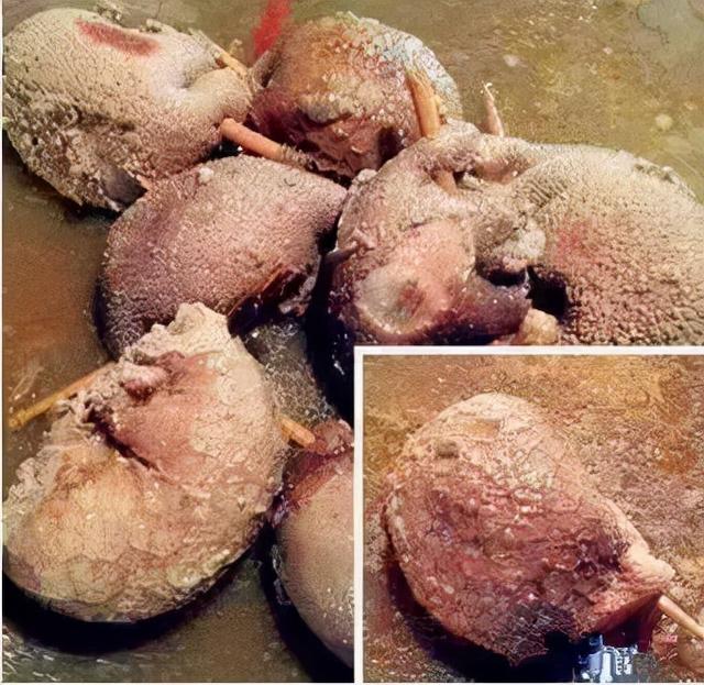 马肠子煮多久能熟，熟马肠子能不能水煮（这些奇葩的新疆饭）