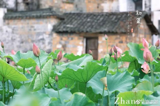 江西婺源最佳旅游景点，无论踏进婺源哪个村庄