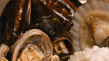 美贝怎么吐沙，2分钟花蛤快速吐沙子（洗白白盖上被子煮一煮）