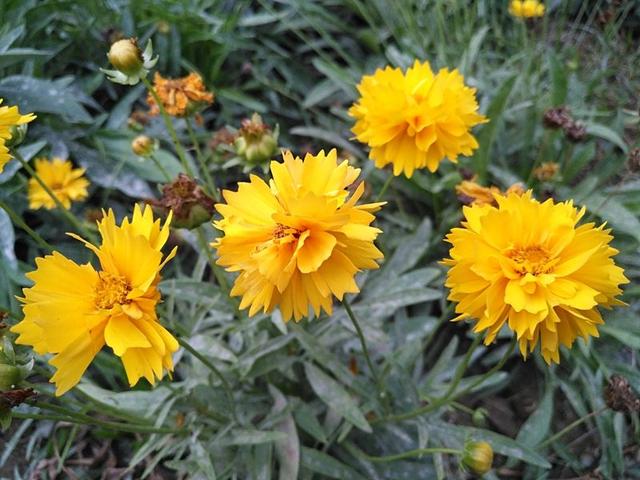 反正切函数的导数，arctanx的导数是什么（求y=arctan的导数计算）