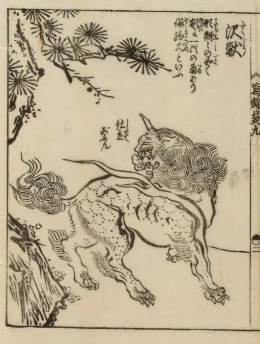 白泽——全知型瑞兽，帝皇瑞兽图片