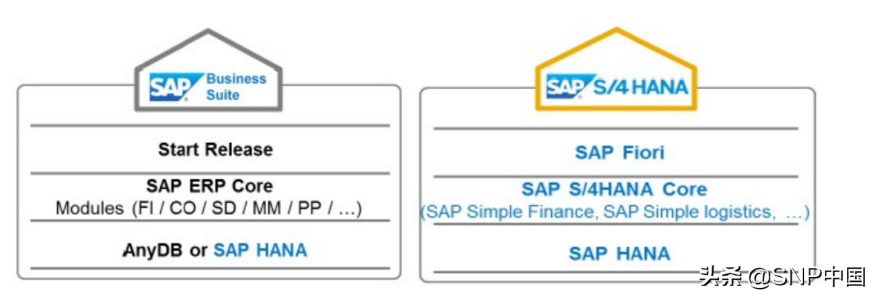 国际会计准则委员会（SAP）