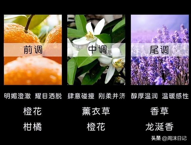 圣罗兰香水这个品牌好不，圣罗兰香水最火的一款（闻一次就彻底沦陷）