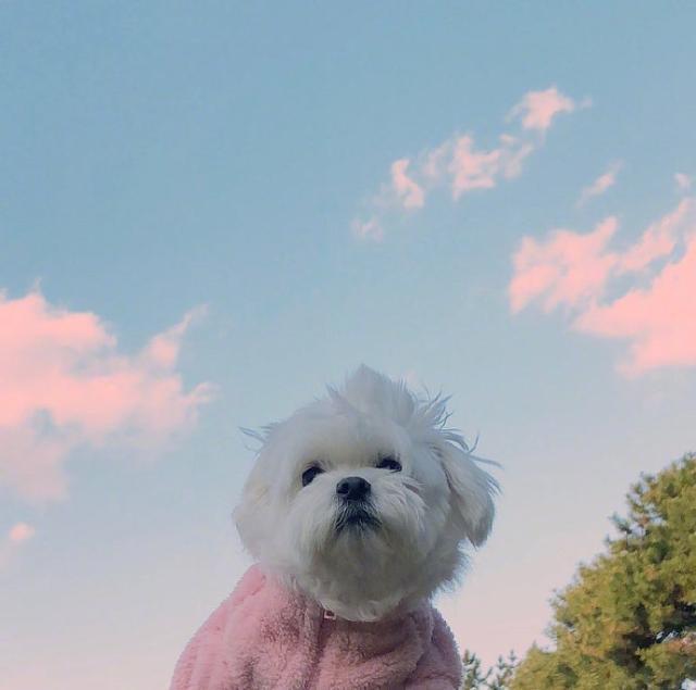 不开心的说说短句，不开心的说说短句男生（心情低落人生哲理短句）