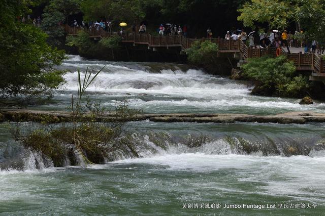 黔南布依族苗族州，娃娃鱼图片大全大图