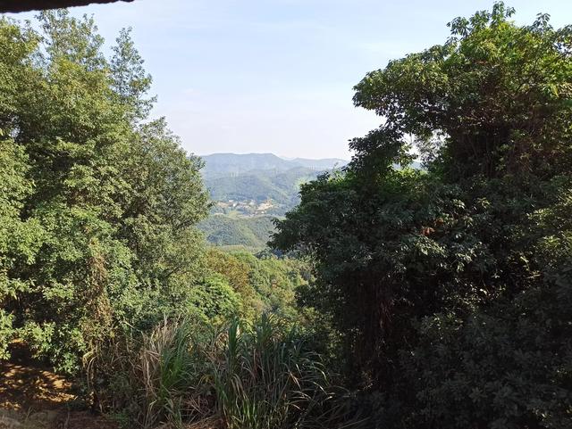 龙眼洞森林公园，广州龙洞森林公园介绍（广州徒步之渔龙线……）