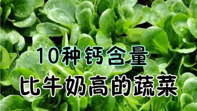 十大补钙食物排行榜，食物补钙有哪些食物是最好（这10种菜含钙极高）