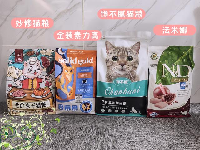 养猫有哪些好处这8点都被科学证实，原来养猫“好处”这么多