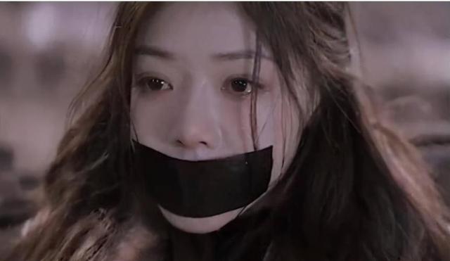 冬凌草的功效与作用，冬凌草片的功效与作用（跟胡军陈建斌合作《黑土无言》即将播出）