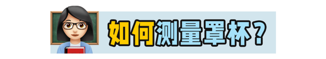 bra是什么，bra是什么尺码（这些胸部相关的小知识你一定要知道）