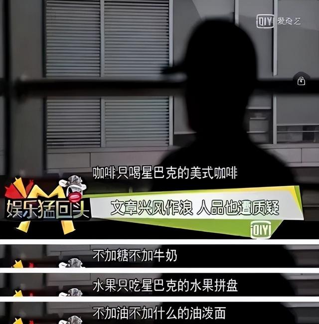 文章主演的电视剧，文章主演的电视剧大全集（人生差距一个天一个地）