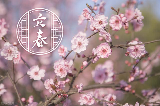 二十四史指的是哪二十四史，二十四史指的是什么书（古代如何确定二十四节气的具体日期）