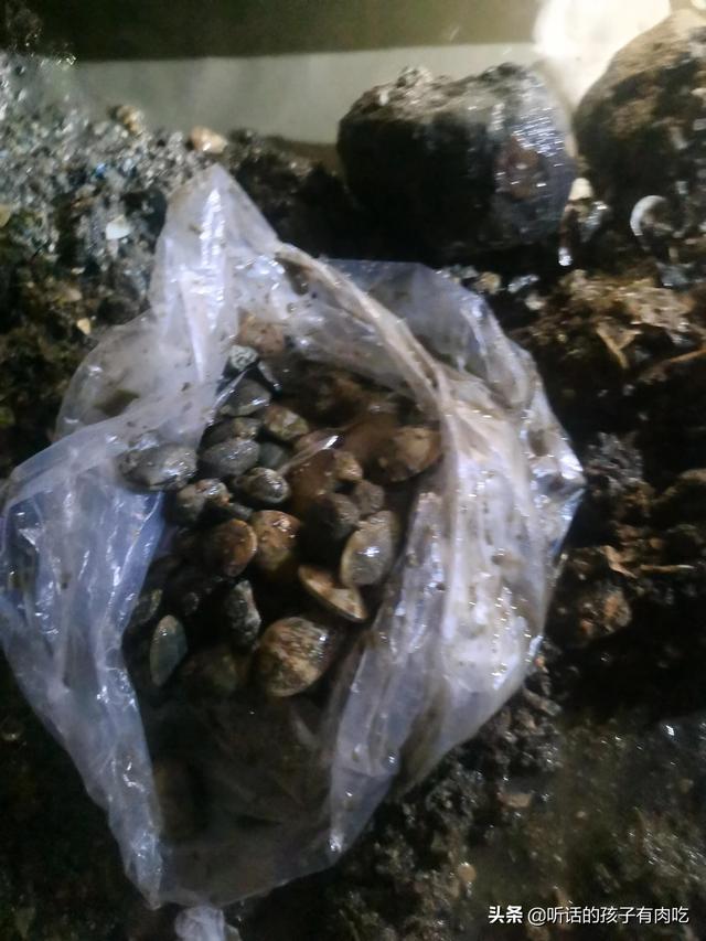 厦门赶海最全攻略，感受花式赶海的快乐