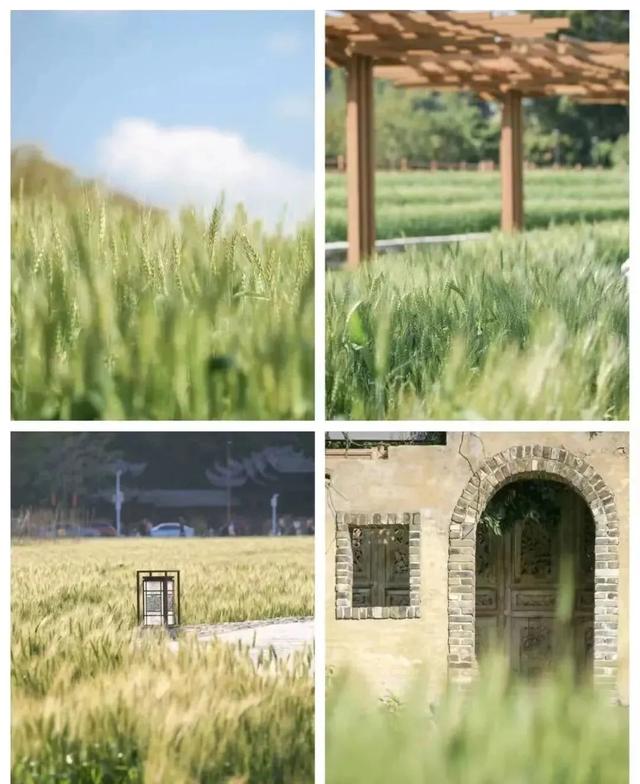 从化旅游景点大全，从化一日游旅游攻略大全（打卡吕田鹰嘴桃花+罗洞工匠小镇麦浪+莲麻小镇）