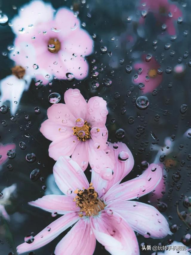 什么情况下拍照用HDR模式，拍照中的hdr是什么模式（你想不到的公园拍照技巧）