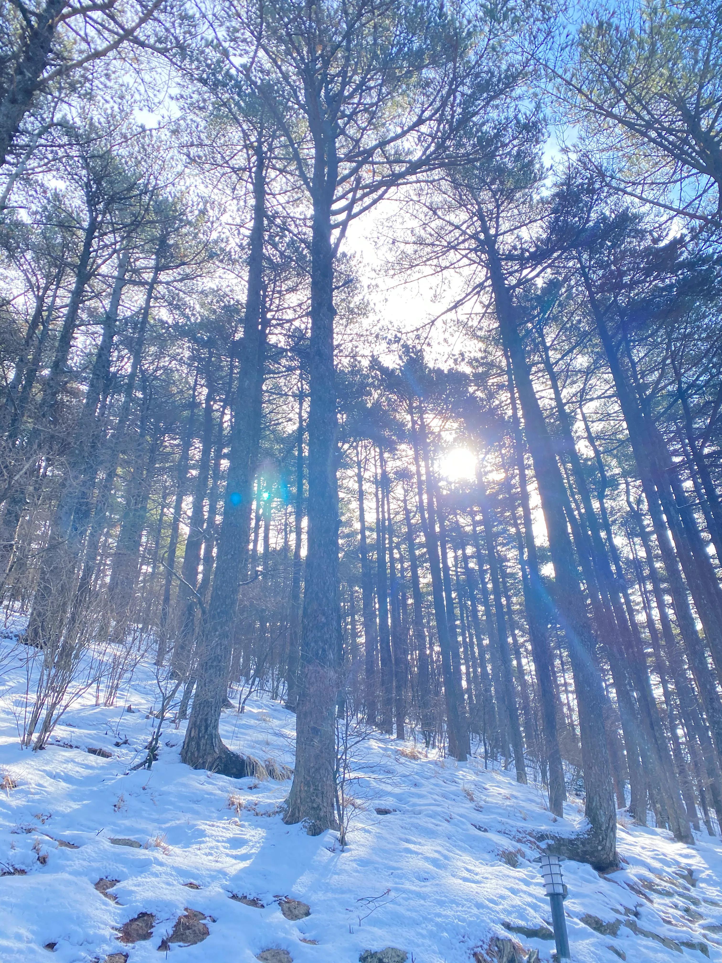 世界十大名山，世界十大名山排名榜（中国十大名山 你登过几个）