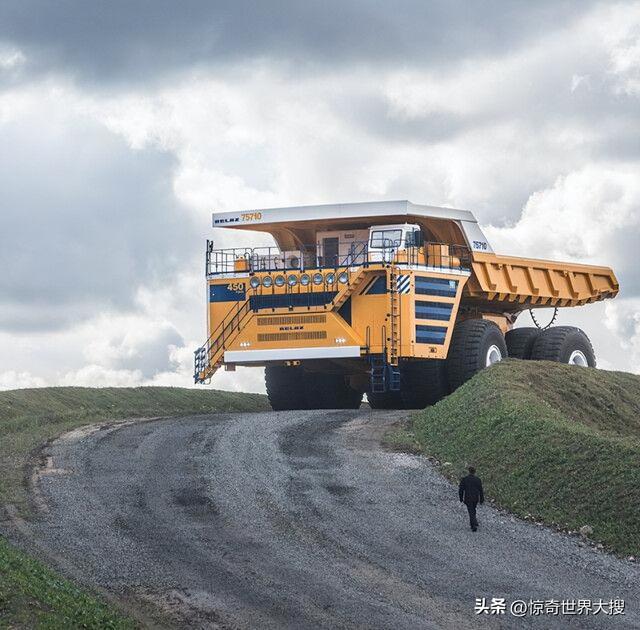 世界上最大的熊，世界上最大的熊是什么熊（25个比你想象中要大的巨物）