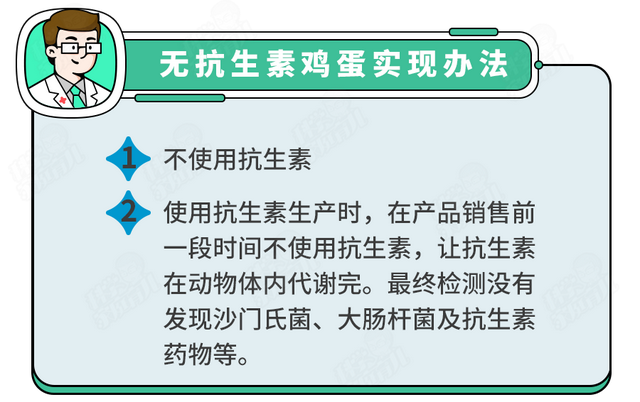 刚孵出来的小鸡怎么养，刚孵化的小鸡怎么养（抽检出抗生素超标）