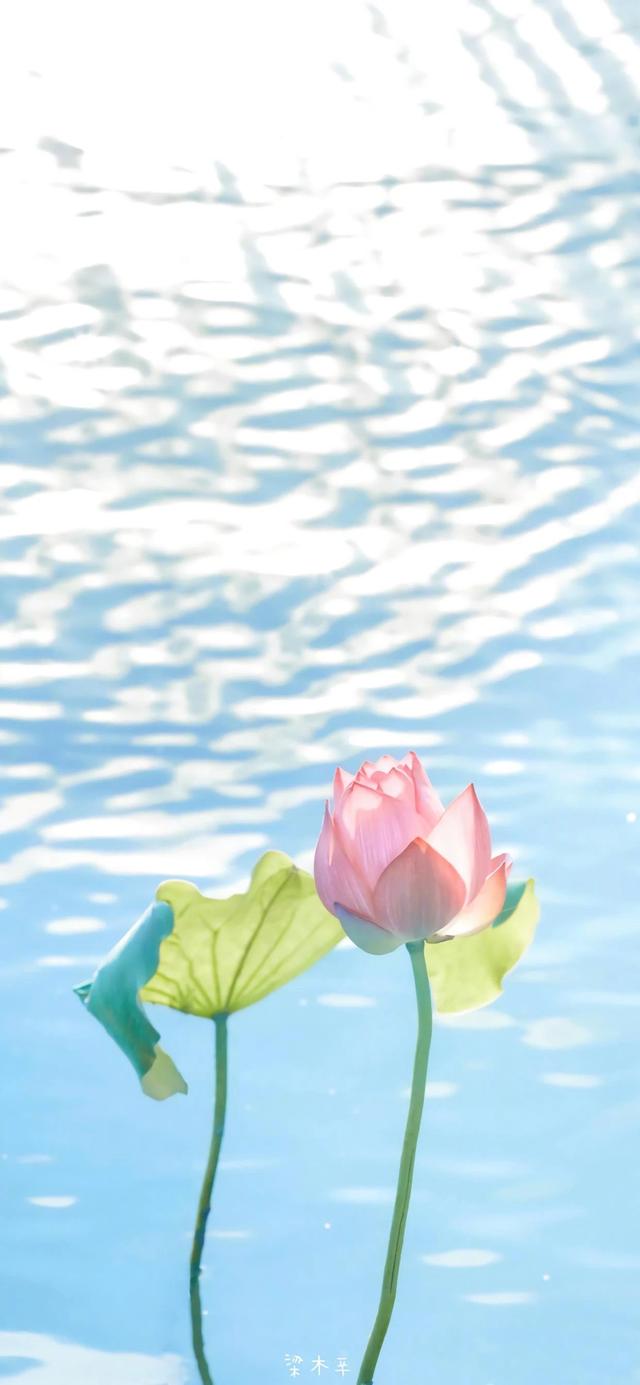 好看图片.，好看图片风景（爆好看的高质量手机壁纸）