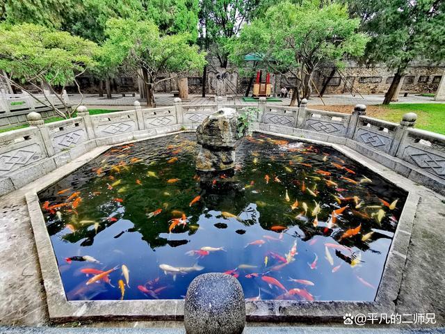 泰山是哪里的哪个省的，除此外还有三处必去