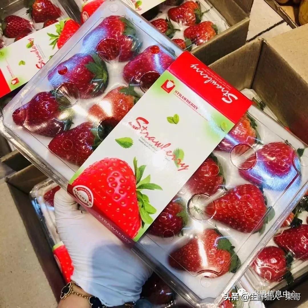 浆果是什么，浆果是什么软件（不同水果的不同包装<浆果篇>）