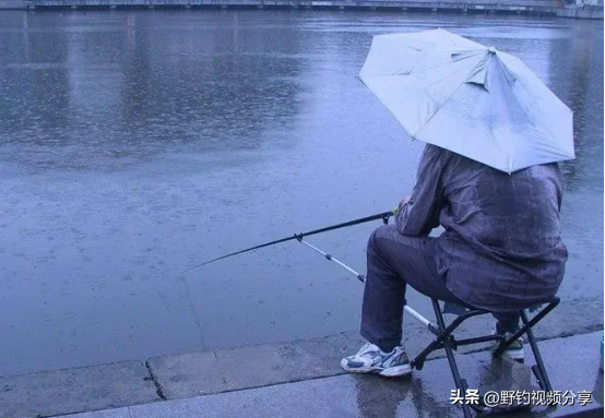 走水中如何钓鱼，走水怎样钓鱼（掌握这几条“法则”）