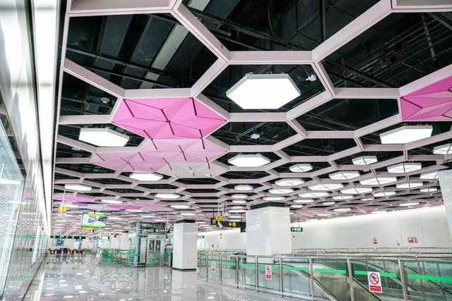 豹龟结石，昆明地铁5号线，首！发！见（肾结石会有啥症状）