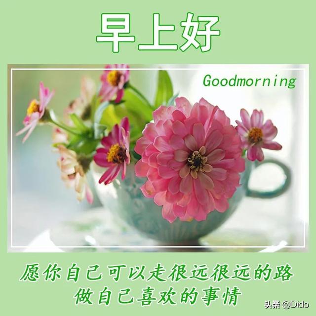 早上好表情包可爱，2022最新早上好表情包（早安可爱图片萌萌哒）