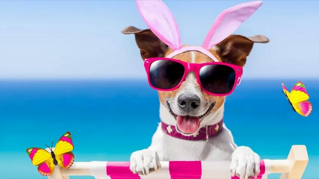 大学生寒假文案，大学生寒假文案图片（假期文案——幽默、搞笑、真实）