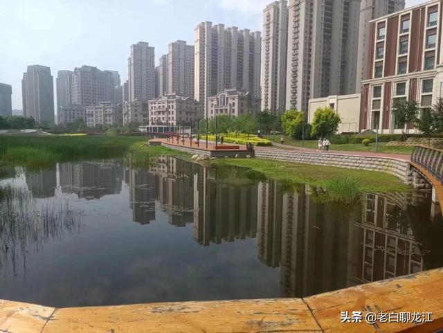 哈尔滨群力湿地公园，群力新区十一大公园