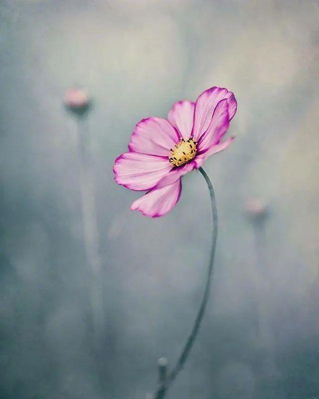 人生哲理美文摘抄，富含哲理经典美文摘抄大全（句句发人深省的人生哲理）