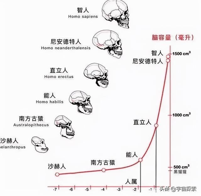 世界上最大的乳房，世界上最大的胸部（动物界通常雄性更漂亮）