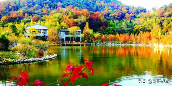 台州路桥哪里比较好玩，台州路桥哪里比较好玩的（浙江台州市路桥区十大景区有哪些）