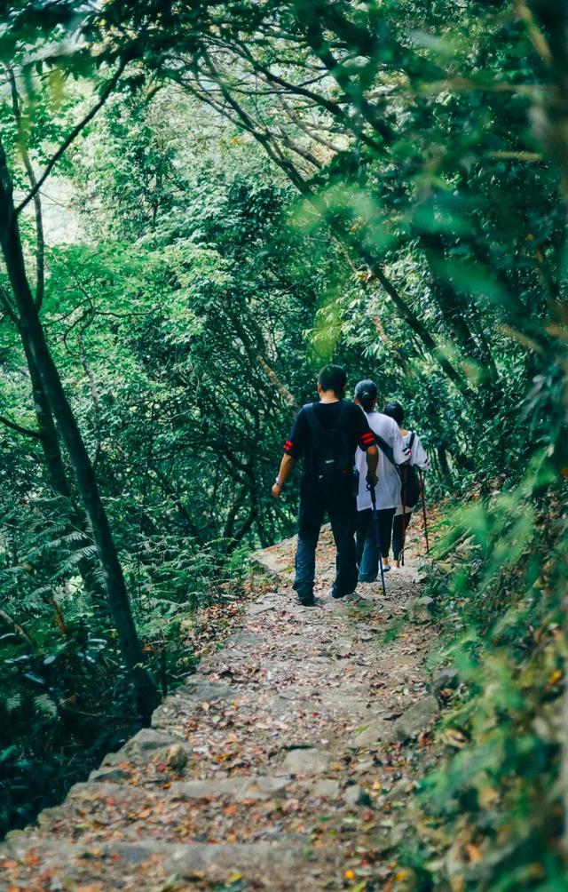 深圳好玩的免费景点，深圳哪里好玩的景点（来深圳这10个地方免费玩）