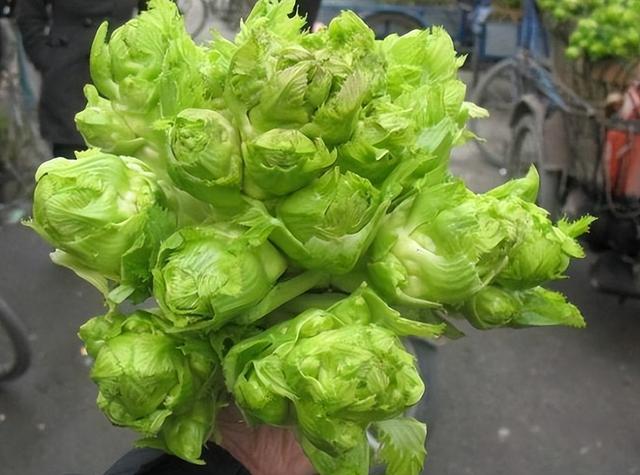 西洋菜是什么菜，西洋菜煲汤配什么材料煲汤好（就连南方人也未必全吃过）
