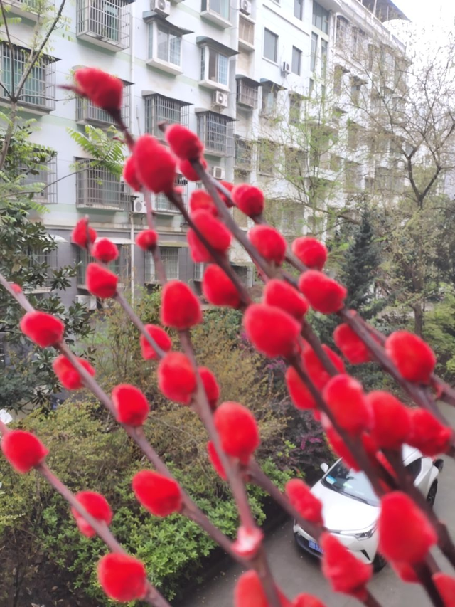 家里客厅花瓶适合插什么花，家里花瓶插什么花好风水好（水里一插就能养）