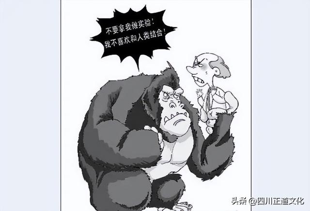 五牲是指哪五种动物，五畜指什么动物（苏联的“人猿杂交”实验）