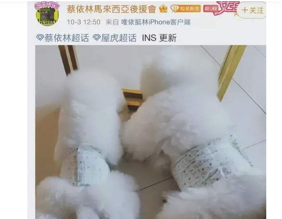微博移除粉丝(微博有一个粉丝移除不掉)