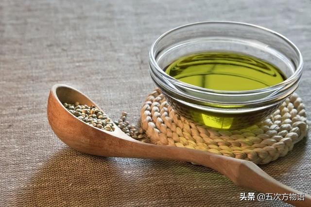 五蠹是哪五个，指的是哪五蠹？之首是儒术吗（中国麻类作物大全）