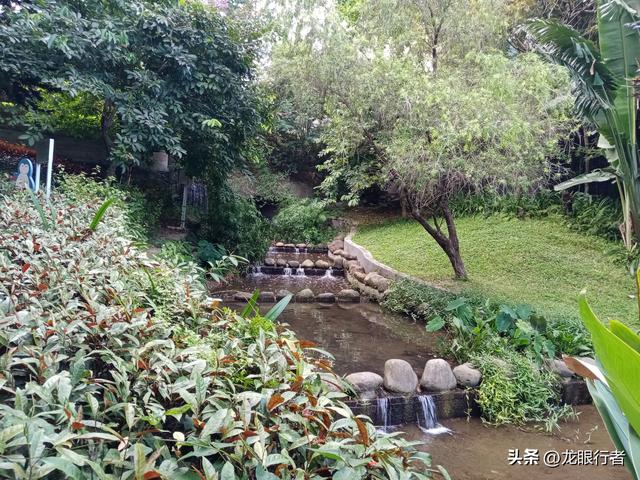 深圳大梅沙怎么样，大梅沙好不好玩（还有这五个景点也值得一逛）