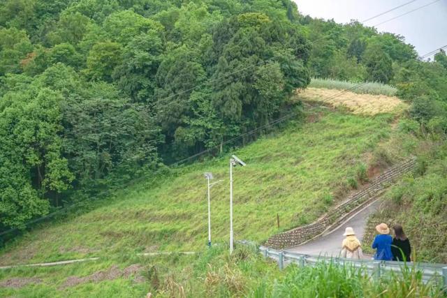 距离成都2小时小众的露营基地，成都近郊9个小众徒步露营耍水地