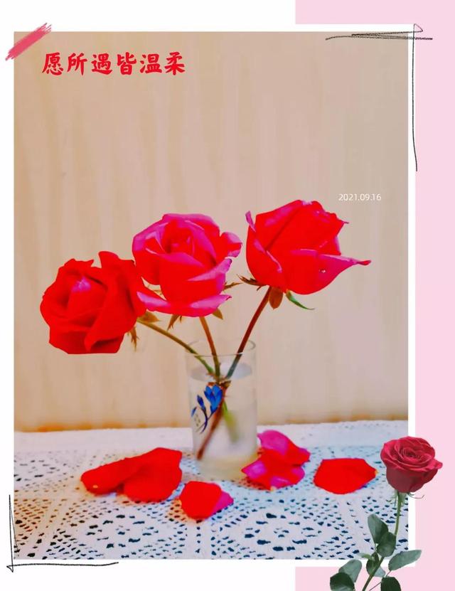 精选情人节的玫瑰的作文六篇，给女朋友的情人节小作文（情人节的玫瑰花<原创>）