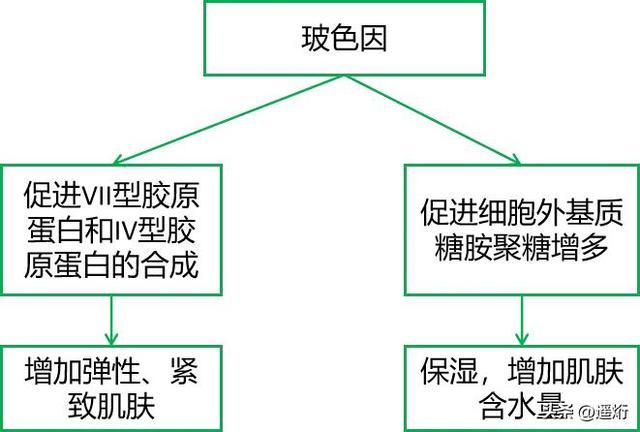 动态纹和静态纹区别，动态纹和静态纹区别图片（抗衰老你现在开始了吗）